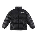 The North Face Contrast-Panel Stand-Collar Puffer Jacket – Street-Ready Style