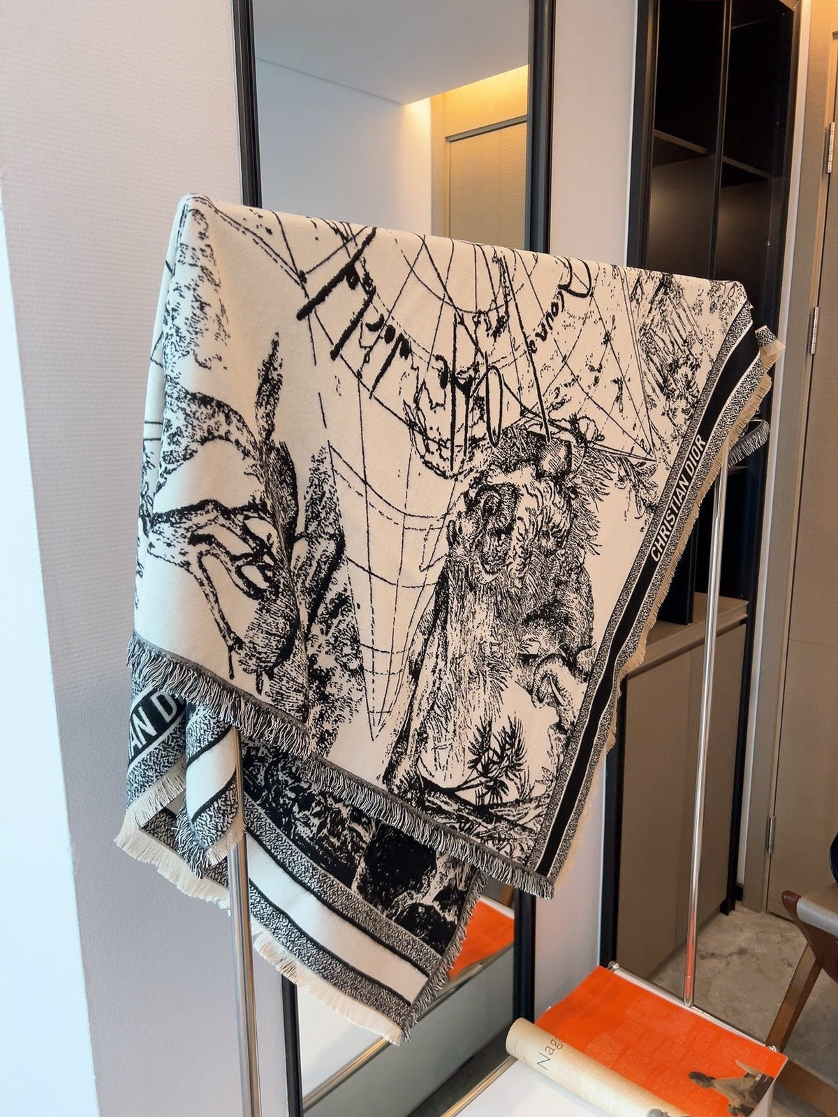 Dior Toile Print Fringed Shawl
